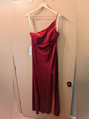 Azazie Kala Terracotta Velvet One-Shoulder Gown